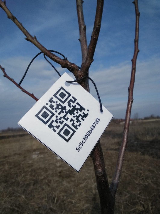 QR-Code on Tree